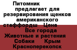 Питомник KURAT GRAD предлагает для резервирования щенков американского стаффордш › Цена ­ 25 000 - Все города Животные и растения » Собаки   . Крым,Красноперекопск